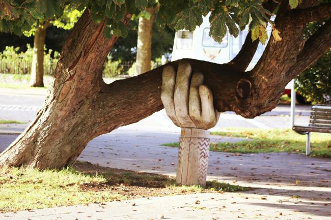hand holding up tree