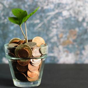 coins and a plant in a glass